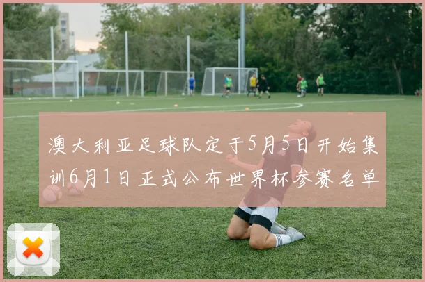澳大利亚足球队定于5月5日开始集训6月1日正式公布世界杯参赛名单