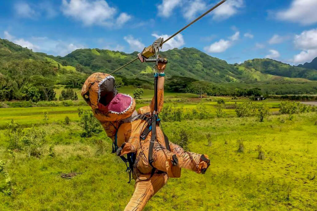 kauai-private-tour-zipline-adventure-tour-guests-playing-1030x687 (1)